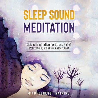 Sleep Sound Meditation: 1 Hour Guided Meditation for Better Sleep, Stress Relief, & Relaxation - Mindfulness Training