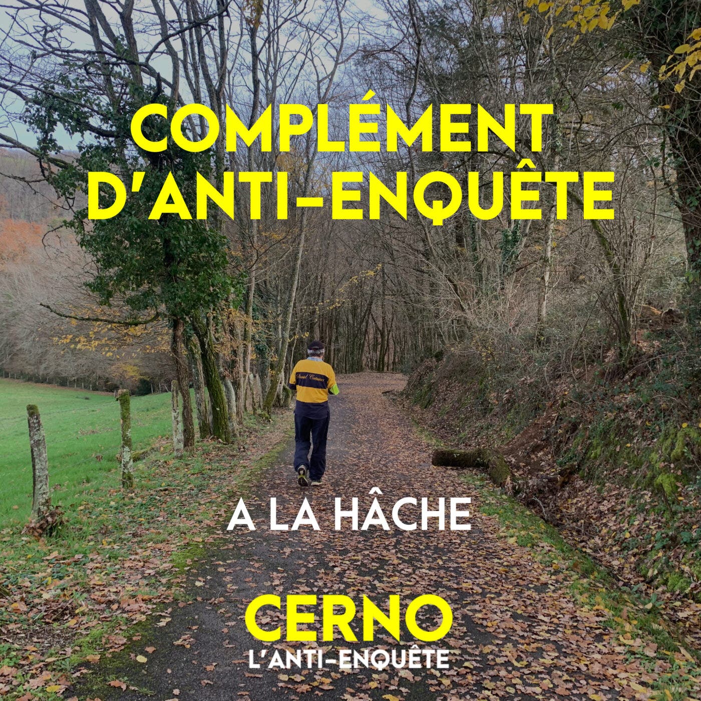 ? [BONUS] Complément d'anti-enquête #3 : À la hâche