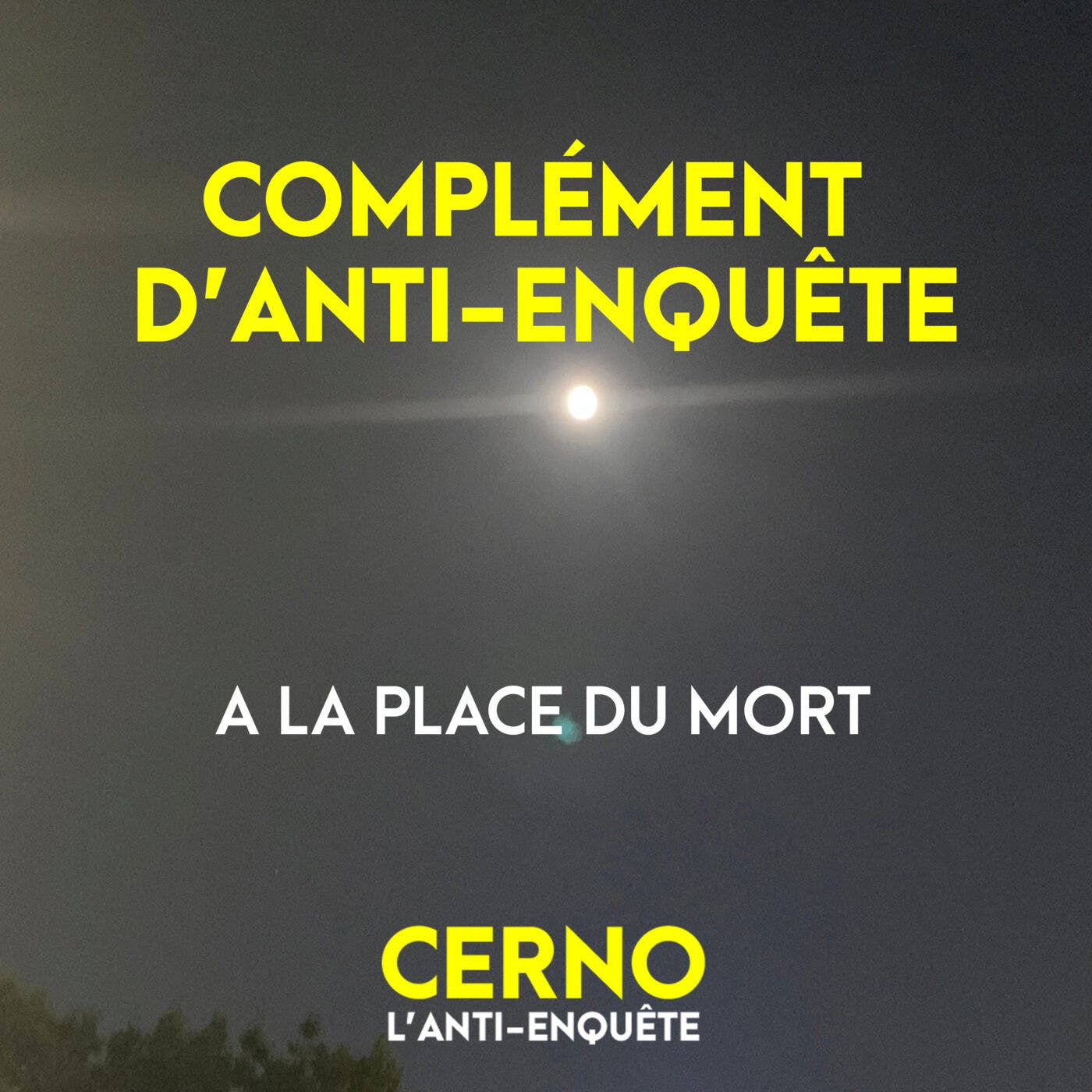 ? [BONUS] Complément d'anti-enquête #2 : A la place du mort