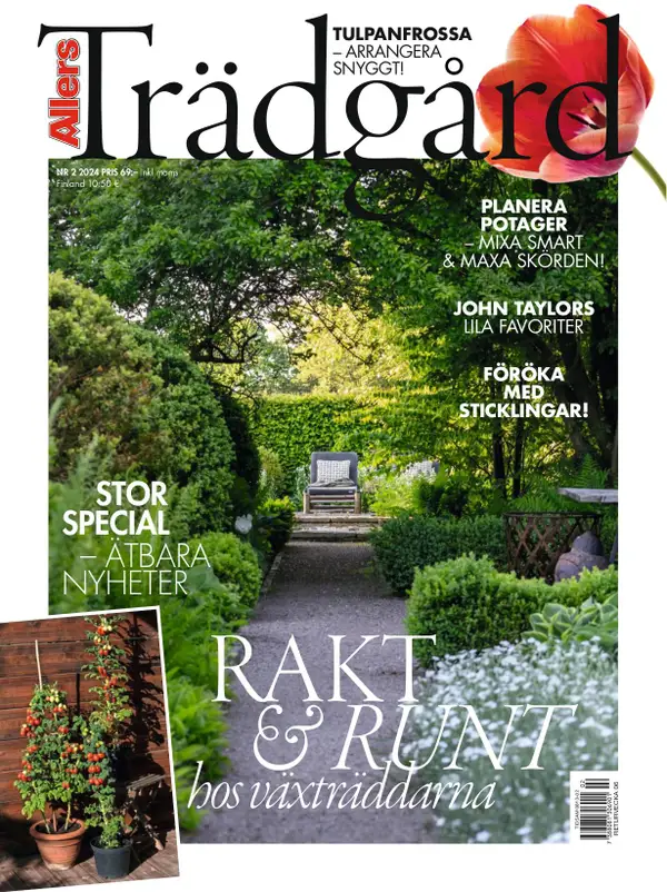 Allers Trädgård 02