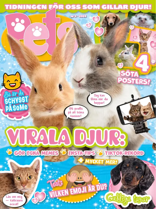 Pets