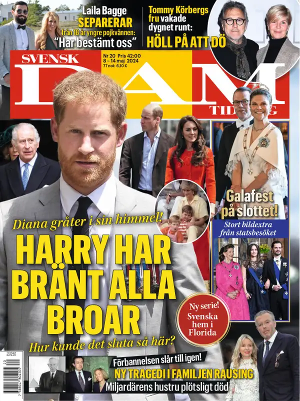 Svensk Damtidning 20