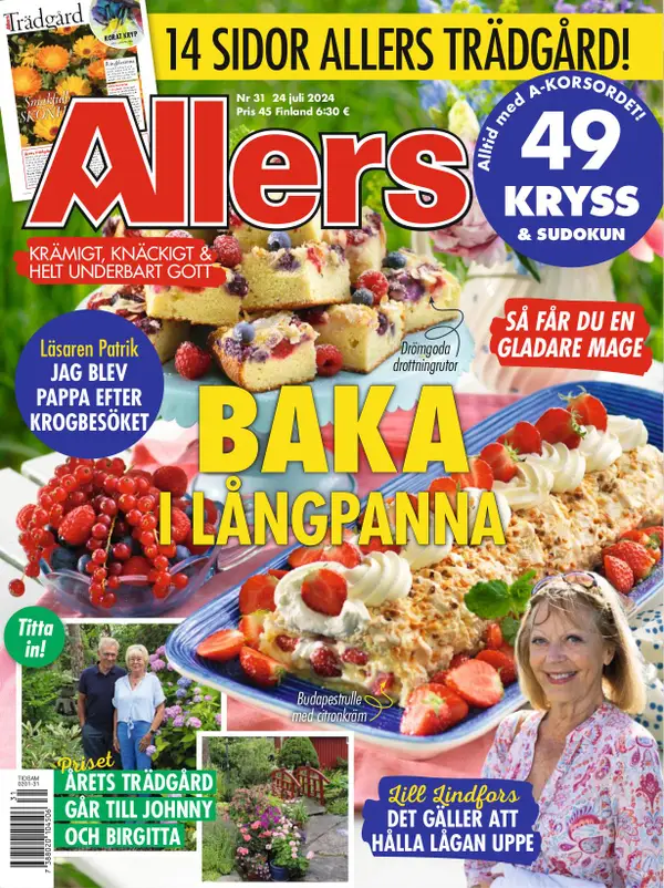 Allers 31