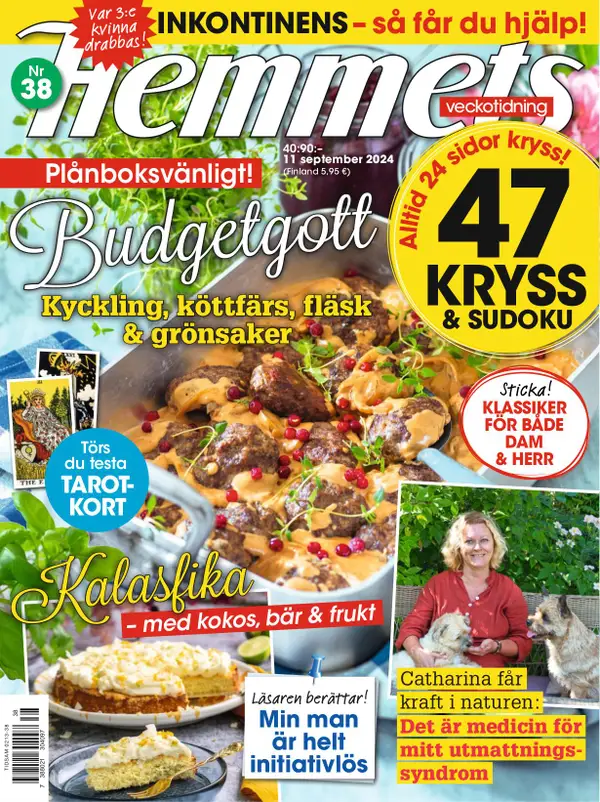 Hemmets Veckotidning 38