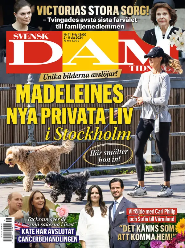 Svensk Damtidning 41