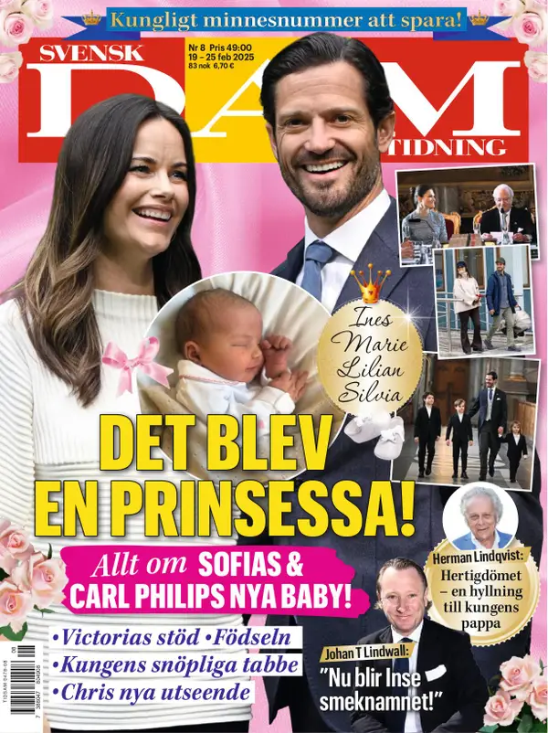 Svensk Damtidning 08