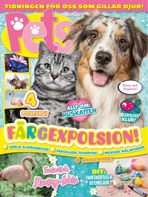 Pets