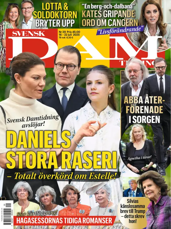 Svensk Damtidning 29
