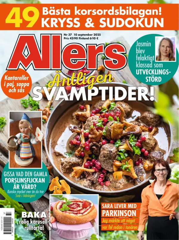 Allers 37