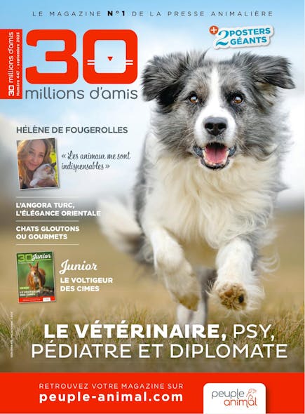 30 Millions D'amis