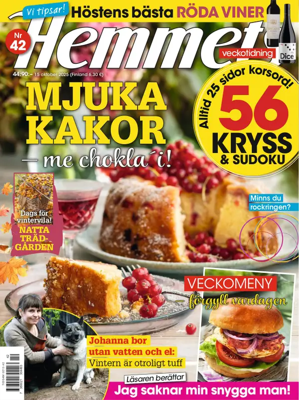 Hemmets Veckotidning 42