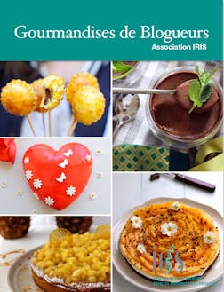 Gourmandises de Blogueurs | Association IRIS