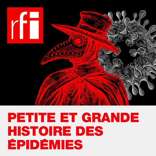 Fièvre Jaune et premières mondialisations | Caroline Lachowsky