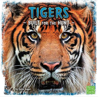 Tigers: Built for the Hunt - undefined