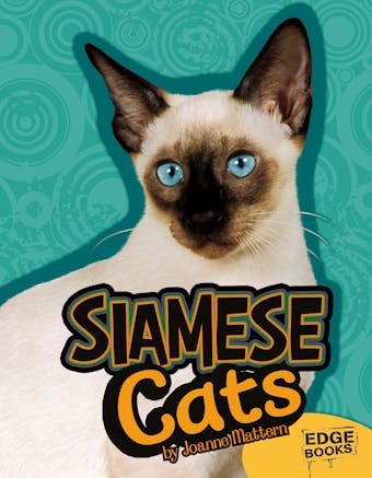 Siamese Cats - undefined