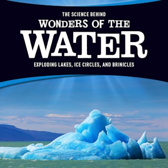 The Science Behind Wonders of the Water: Exploding Lakes, Ice Circles, and Brinicles - undefined