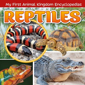 Reptiles - undefined