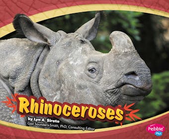 Rhinoceroses - undefined