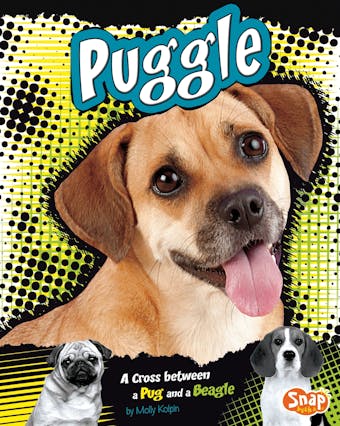 Puggle: A Cross Between a Pug and a Beagle - undefined