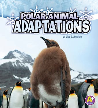 Polar Animal Adaptations - undefined