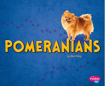 Pomeranians - undefined
