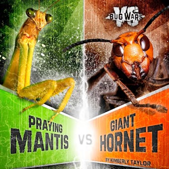 Praying Mantis vs. Giant Hornet: Battle of the Powerful Predators - undefined