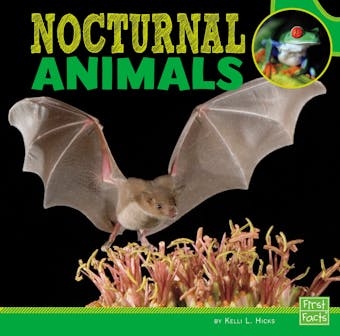 Nocturnal Animals - undefined