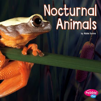 Nocturnal Animals - Abbie Dunne