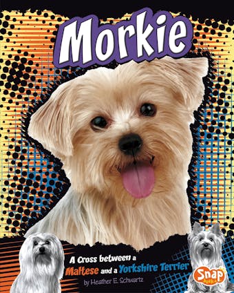 Morkie: A Cross Between a Maltese and a Yorkshire Terrier - undefined