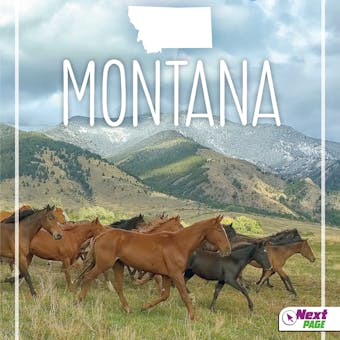 Montana - undefined