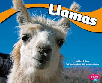 Llamas - undefined