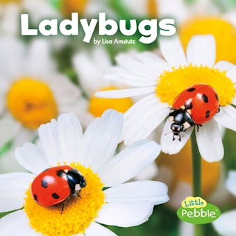 Ladybugs - undefined