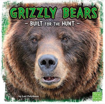 Grizzly Bears: Built for the Hunt - undefined