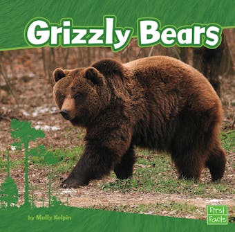 Grizzly Bears - undefined