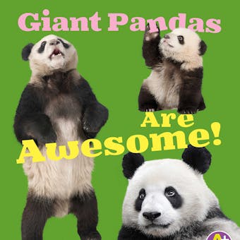 Giant Pandas Are Awesome! - undefined
