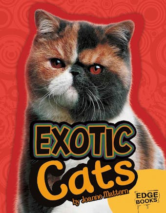Exotic Cats - undefined