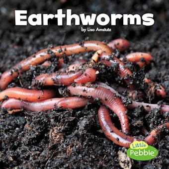 Earthworms - undefined