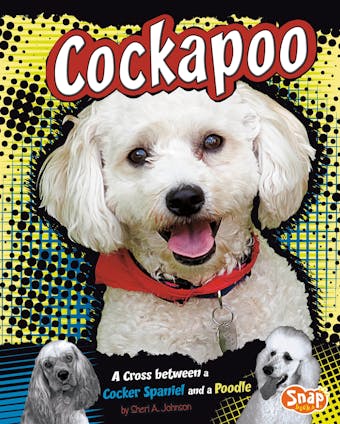 Cockapoo: A Cross Between a Cocker Spaniel and a Poodle - undefined