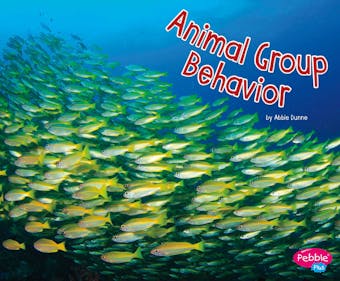 Animal Group Behavior - Abbie Dunne
