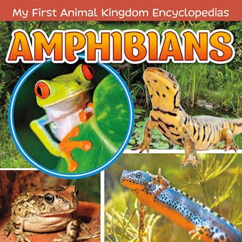 Amphibians - undefined