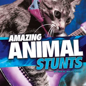 Amazing Animal Stunts - undefined