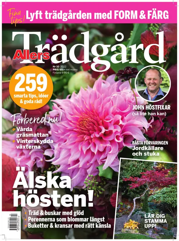 Allers Trädgård 10