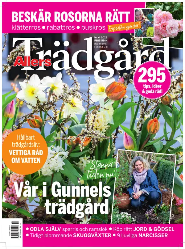 Allers Trädgård 4