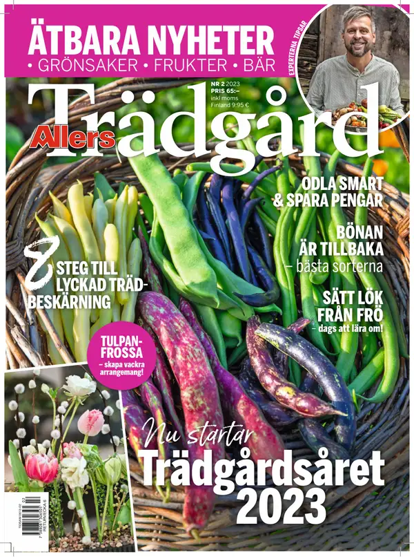 Allers Trädgård 02