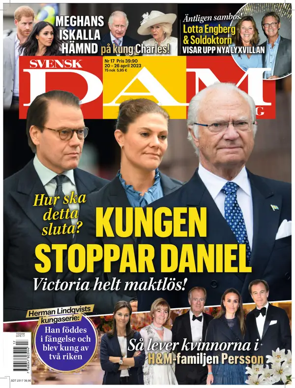 Svensk Damtidning 17