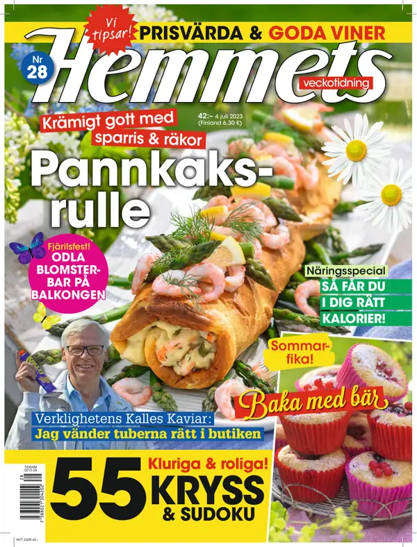 Hemmets Veckotidning 28