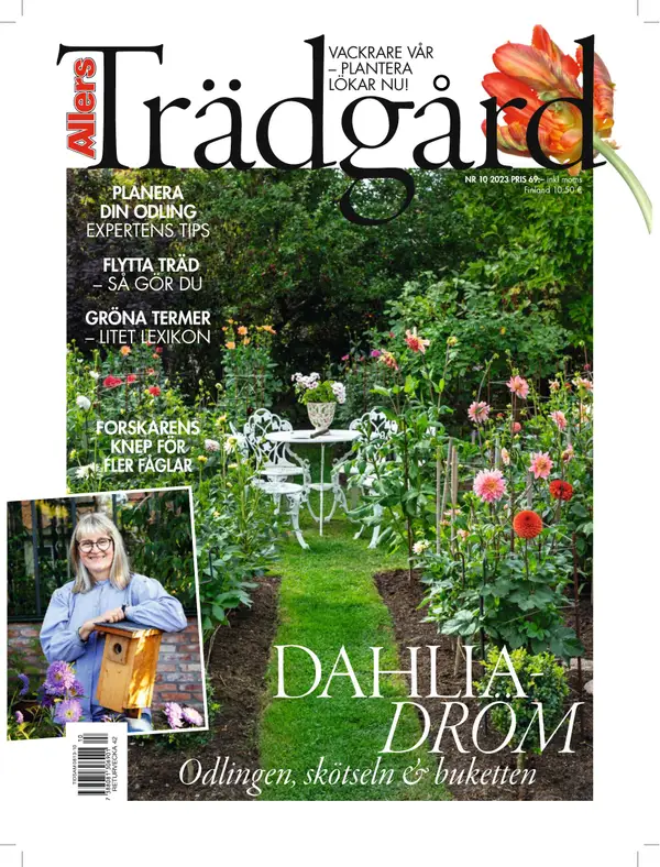 Allers Trädgård 10