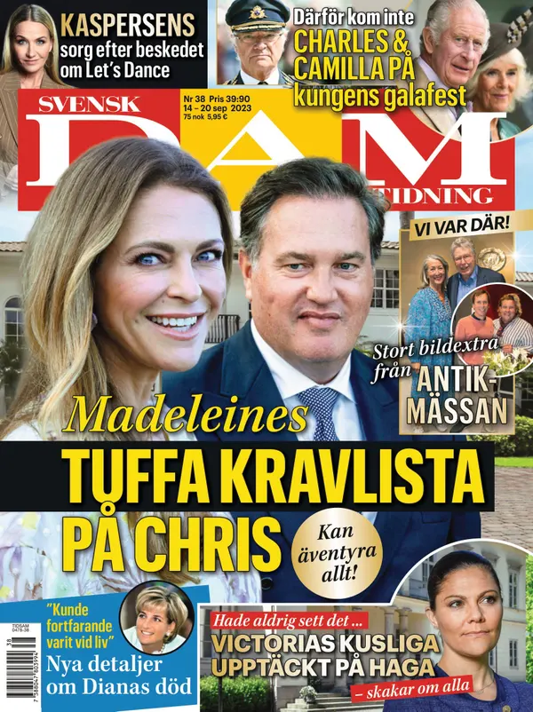 Svensk Damtidning 38