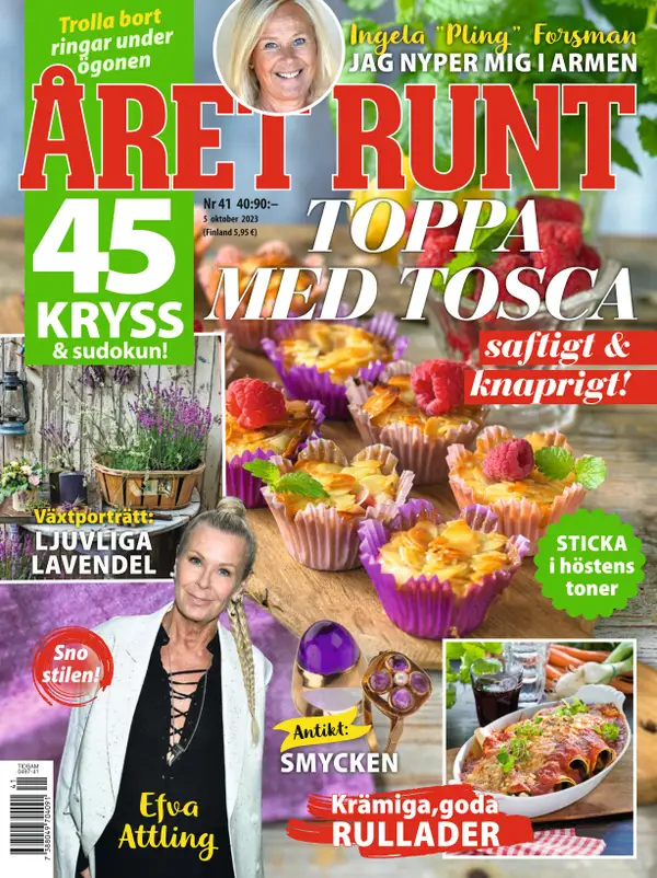 Året Runt 41