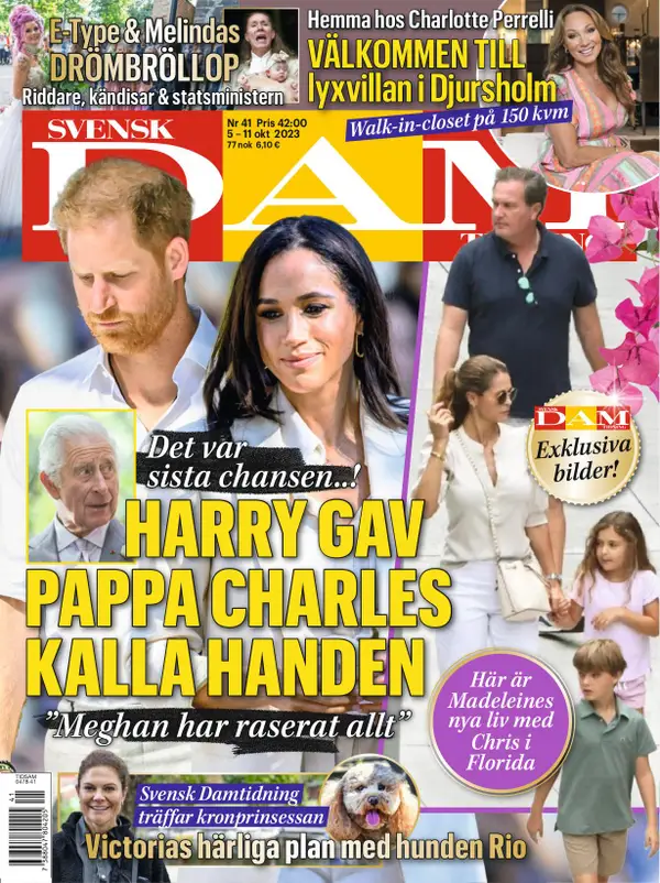 Svensk Damtidning 41